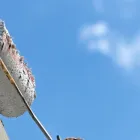 コンセプト